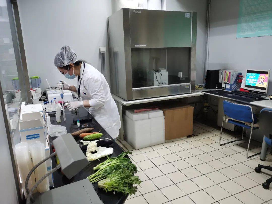 泾县食品检测实验室装修方案